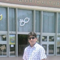 Muhammad Arshad