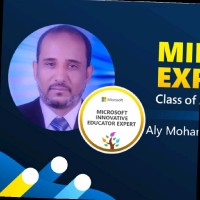 Ali Mohamed Othman Ibrahim