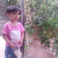 Elham Aliabadi