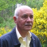 Harm De Jonge