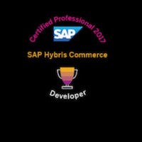 SAP Trainer