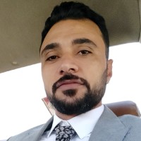Mostafa Shawki