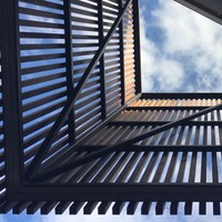 Aleksandra Savic Rakocevic