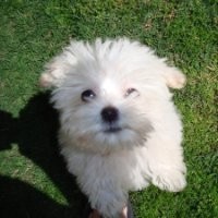 Aristides Evaristo Ruiz