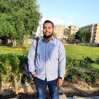 Khaled Shamandy