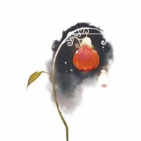 王正凯