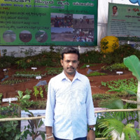 Ravi Kishore