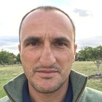 Nicola D'Angelo