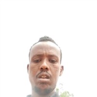 Farah Abdi