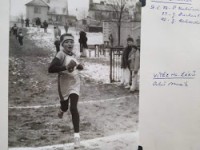 Ales Mezik