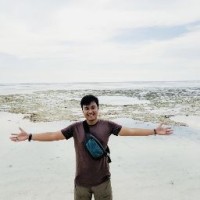 Ahmad Pandu Mayzaldi
