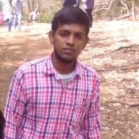 Mohammed Farees