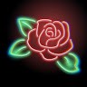 Rose Z