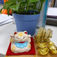 Lee Siang Toh