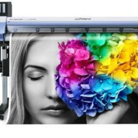 Print Copy