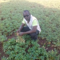 Marc Mynidieba Ouoba