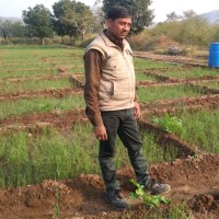 Sandip Bakal