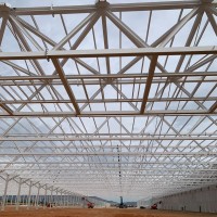 ISABEL BORGES BELFORT