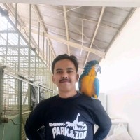 Uci Ramdani