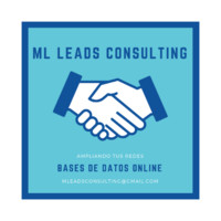 ML Leads Consulting