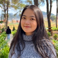Le Ha Nguyen