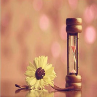 A Ꮏ Ꭶ ᎦYᎡᎥA