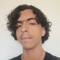 Vitor Martins Gonçalves