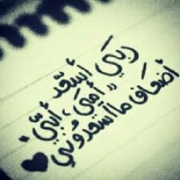 Abo moustafa —M—M—E—