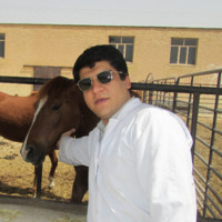 Maziar Haj Salehi