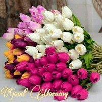 Mukesh Kumar