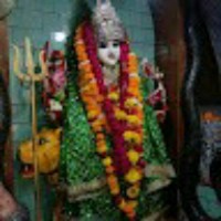 Rajesh Kumar Trivedi
