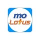 Molotus Team