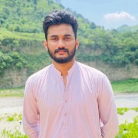 Muhammad Awais