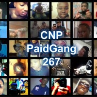 Crispynpaid Cnp