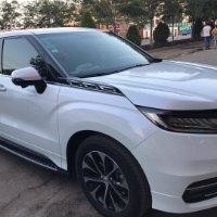杨再新
