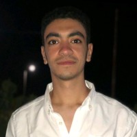 Mohamed Yousry