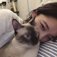 王竹君