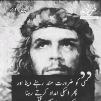 junaid aashna Khatti