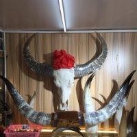 胡秋明