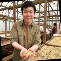Matthew Ip