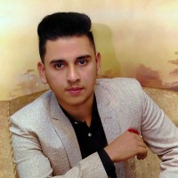 Ali Raza - Developer