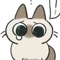 陈圣哲