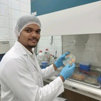 Prakash L