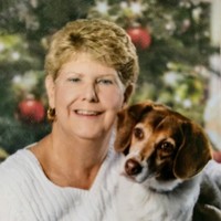 Beth Fishburn-Fine, MS, LPC, NCC