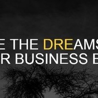 Alternaitve Online Design LLC