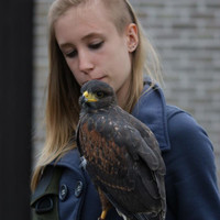 Dorien Ceulemans