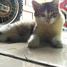Ratih Dyan