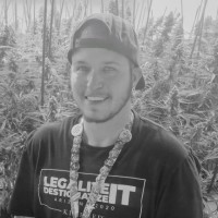 Jenner Ackerman (he/him/his)