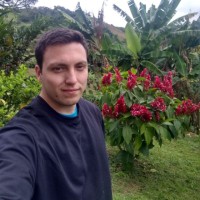 Andrés Felipe Mora Useche