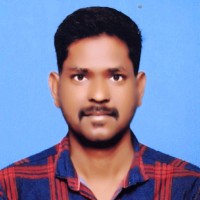 Elaiyaraja P